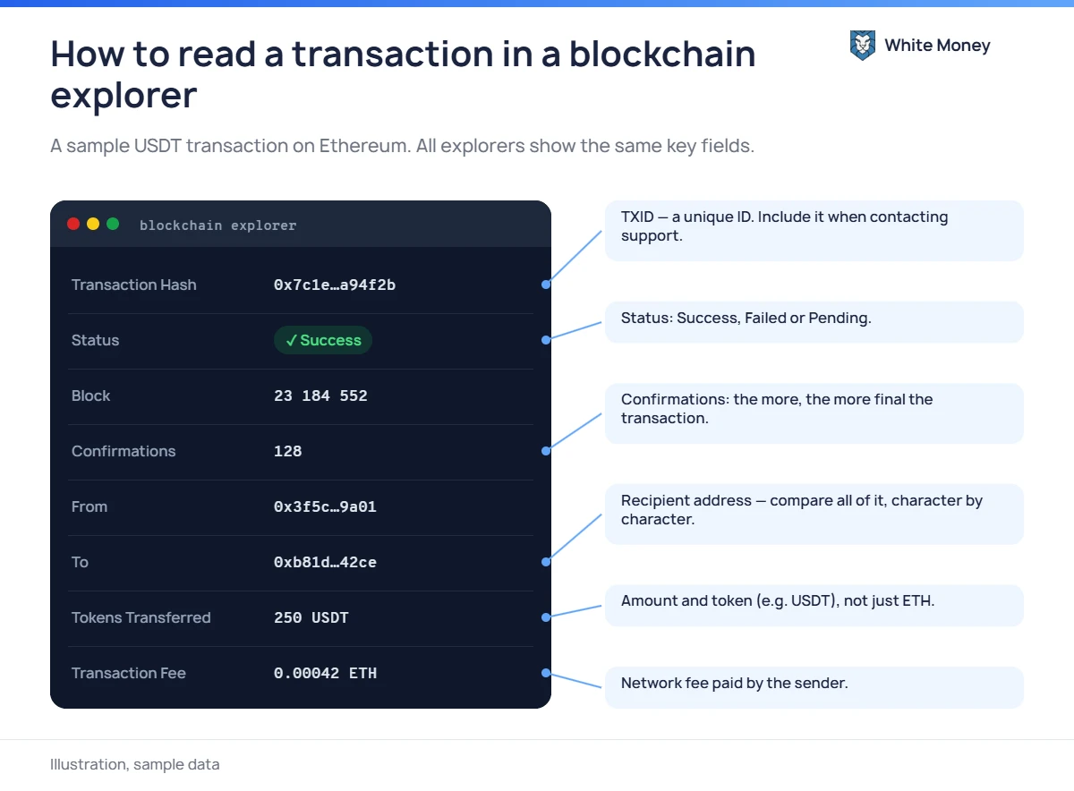 How to read a transaction in a blockchain explorer. A sample USDT transaction on Ethereum. All explorers show the same key fields.