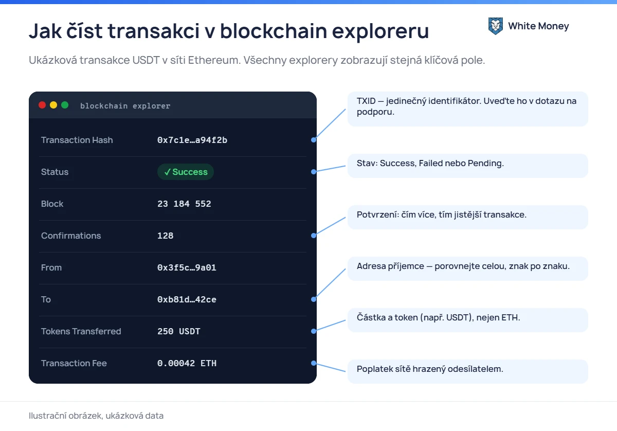 Jak číst transakci v blockchain exploreru. Ukázková transakce USDT v síti Ethereum. Všechny explorery zobrazují stejná klíčová pole.