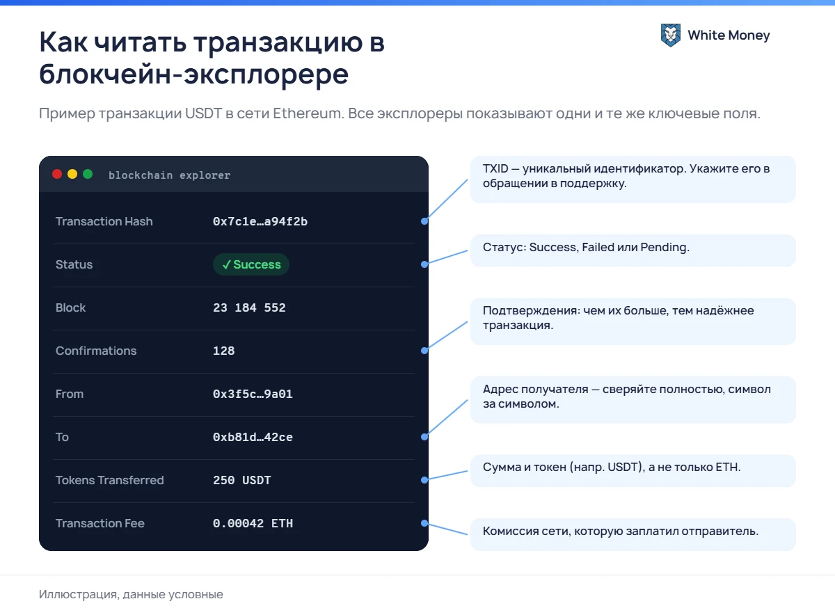 Как читать транзакцию в блокчейн-эксплорере. Пример транзакции USDT в сети Ethereum. Все эксплореры показывают одни и те же ключевые поля.